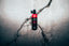 Tabac Wild Ride Eau de Toilette liegt auf gerissenem Boden.
